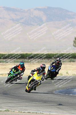 media/Jun-30-2024-TrackDaz (Sun) [[975061b0f9]]/Group C/Grapevine (940am)/